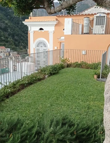 manto verde